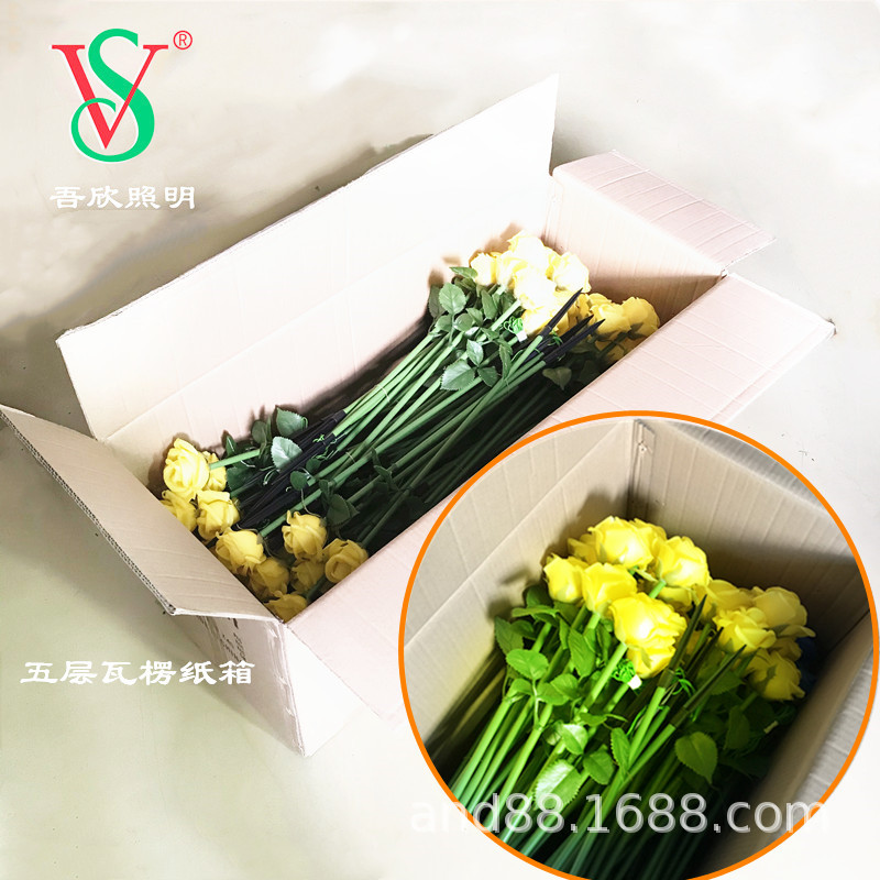 16976674435 _ 92956439