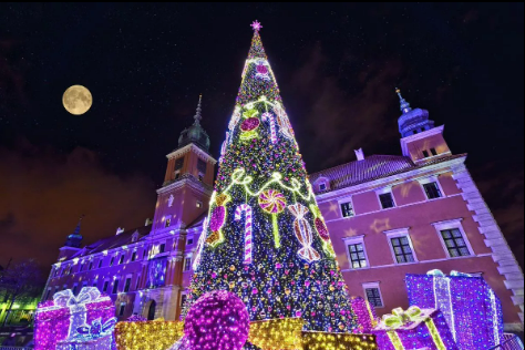 في الهواء الطلق LED أضواء شجرة عيد الميلاد المخروطية