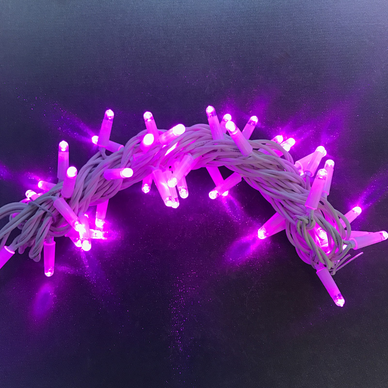 ضوء السلسلة